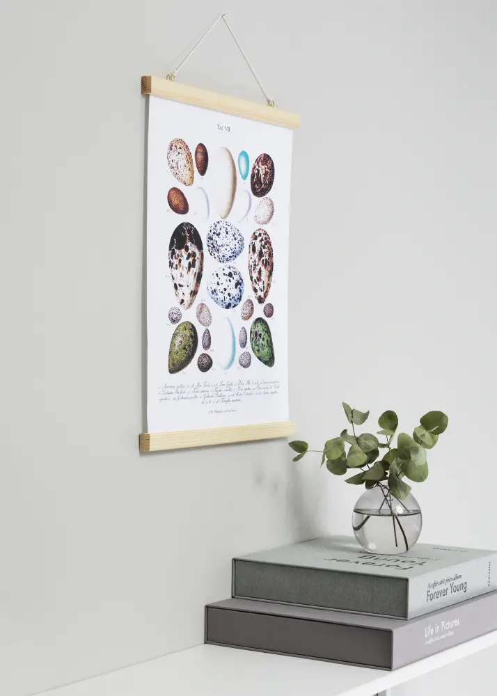 Posterhängare Nature - 70 cm