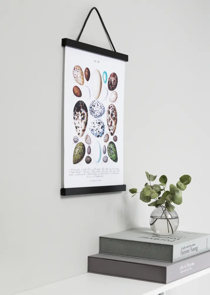 Posterhängare Svart - 21 cm