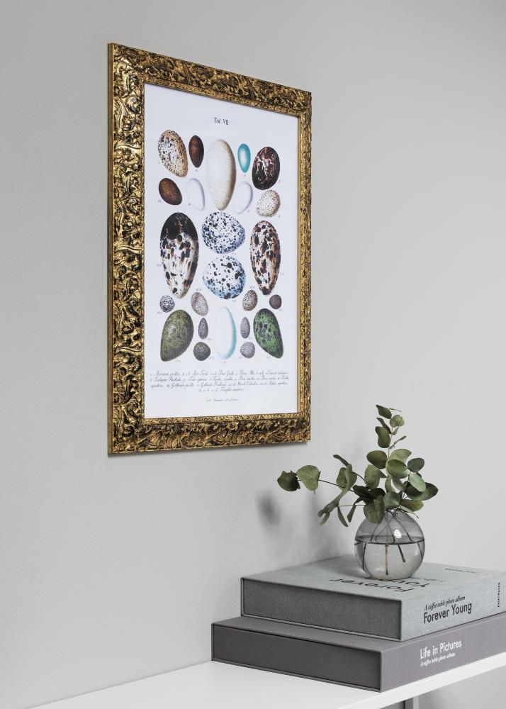 Ram Ralph Guld 35x50 cm