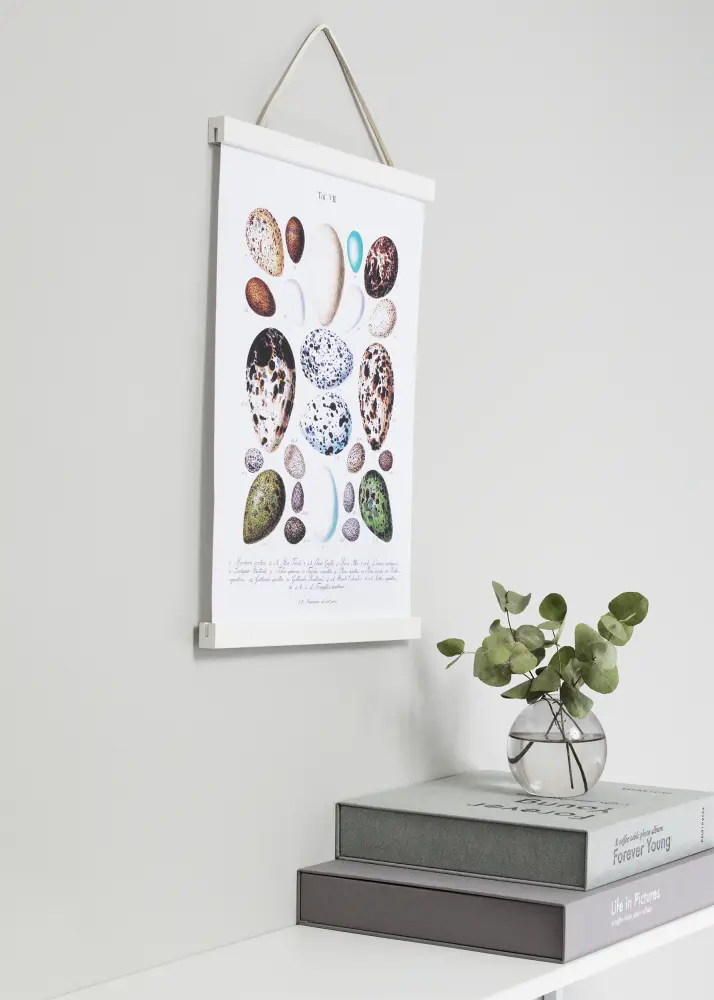 Posterhängare Vit - 21 cm