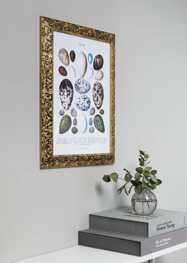 Ram Ralph Guld 40x50 cm