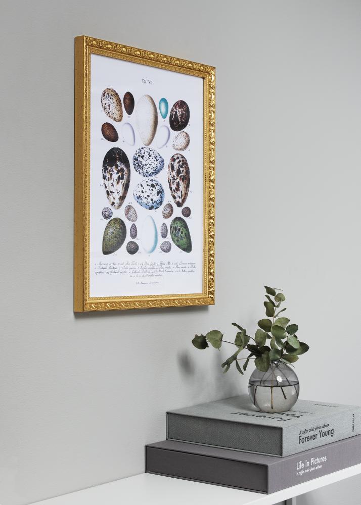 Ram Smith Guld 35x50 cm