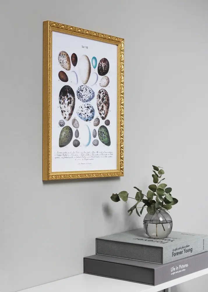 Ram Smith Guld 50x70 cm