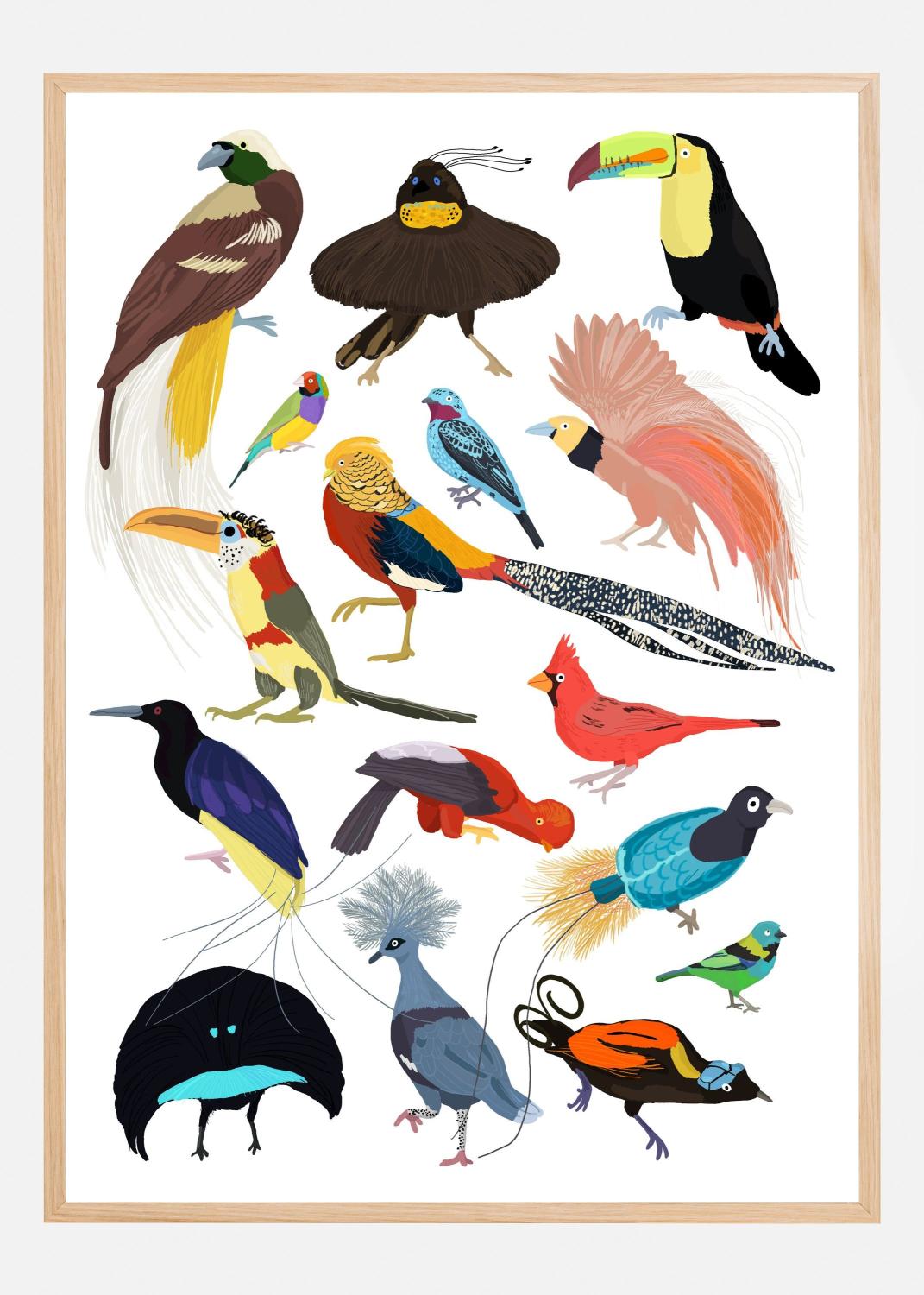 Product Image for Birds of Paradise Poster (50x70 cm)