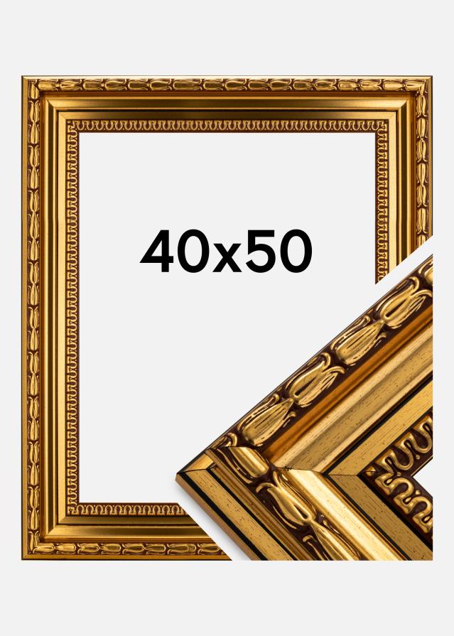 Ram Birka Premium Guld 40x50 cm