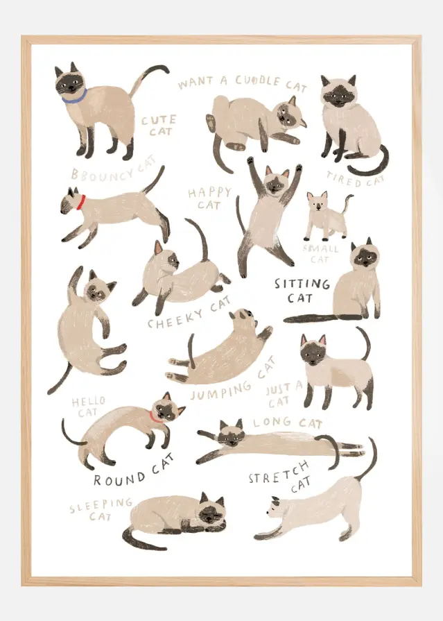 Siamese Cat Print Poster