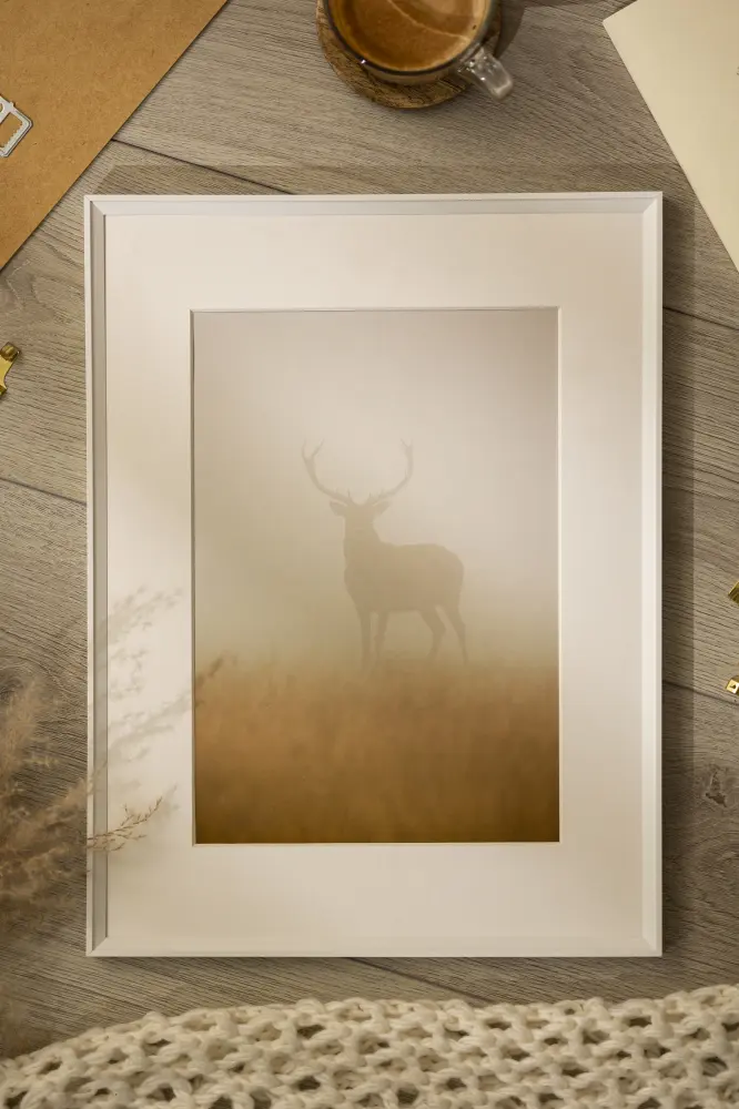 Ram Desire Vit 30x40 cm - Passepartout Vit 21x29,7 cm (A4)
