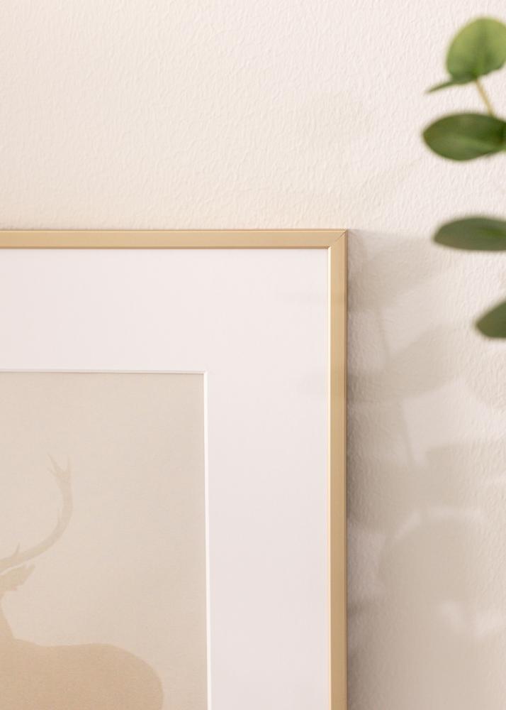 Aluminiumram Akrylglas Mässing 42x59,4 cm (A2)