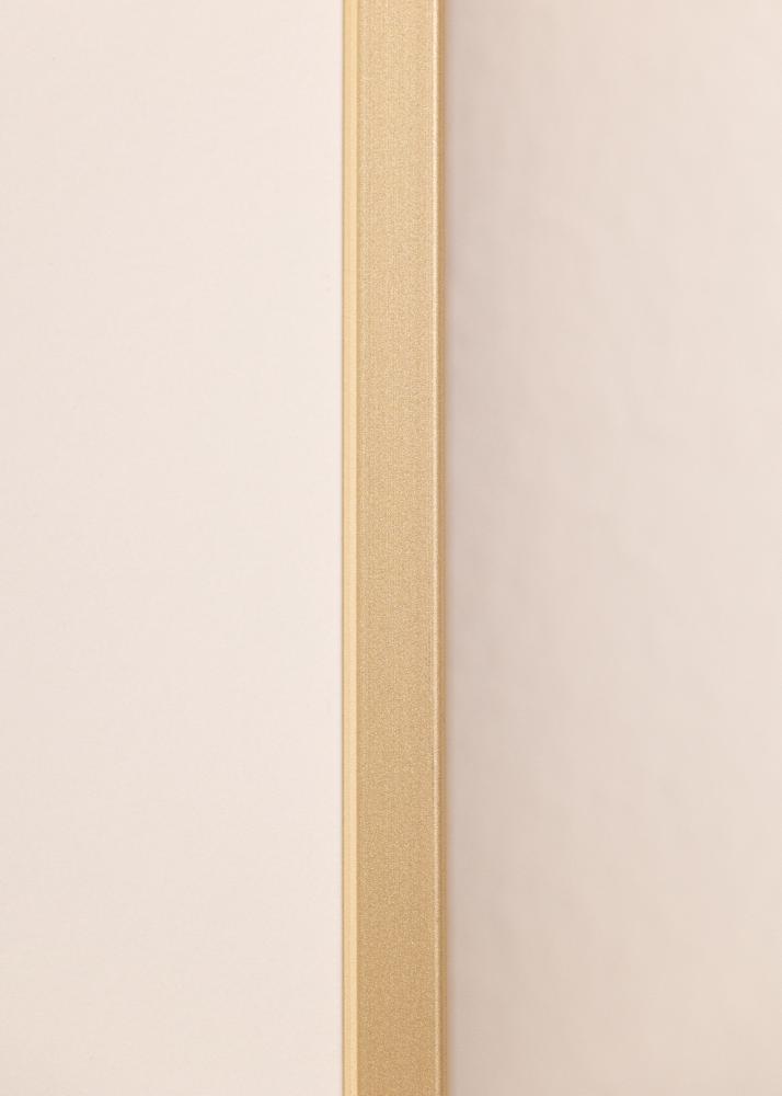 Aluminiumram Akrylglas Mässing 42x59,4 cm (A2)