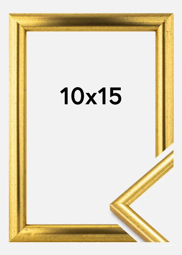 Ram Newline Guld 10x15 cm