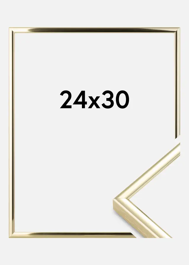 Ram Nielsen Premium Classic Guld 24x30 cm